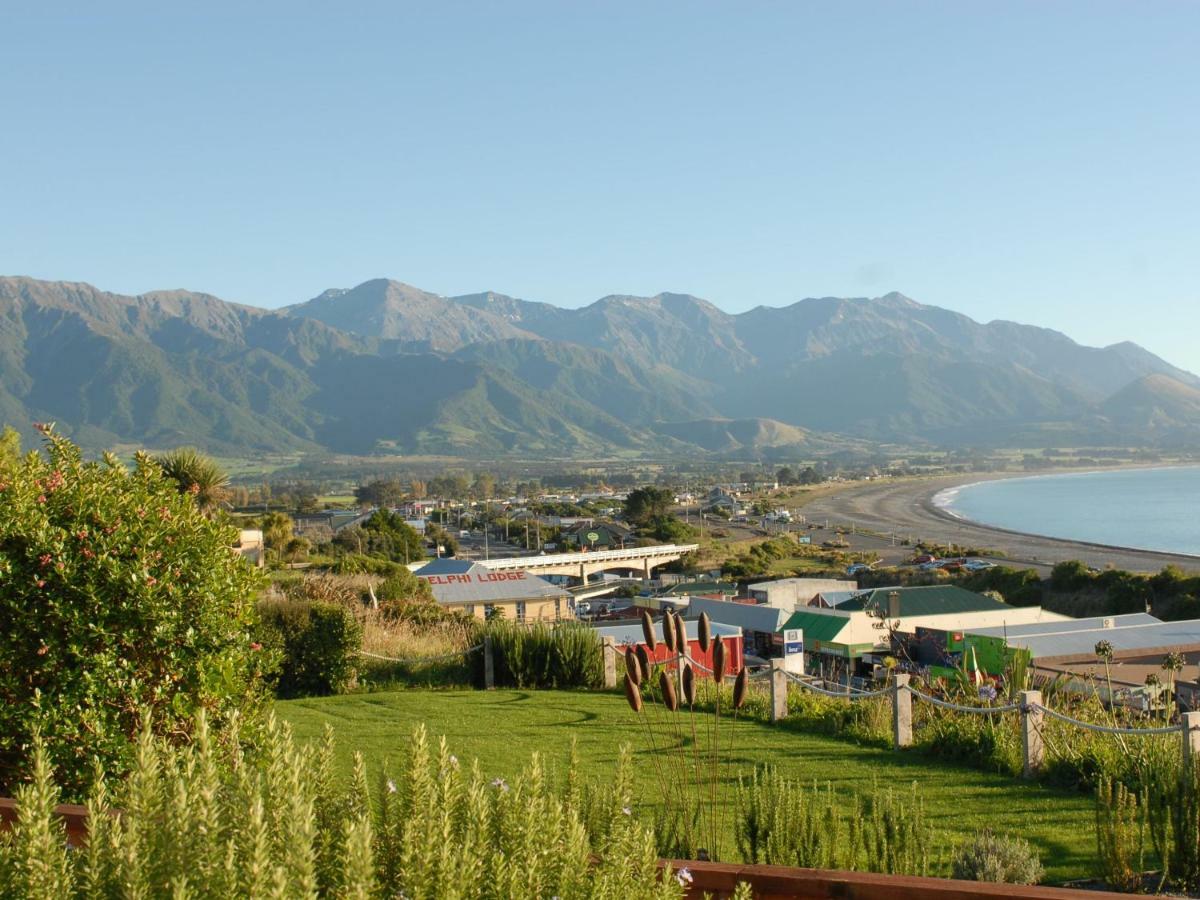 Lemon Tree Lodge Kaikoura Esterno foto